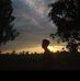 Vin Bunna - Facebook