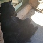 Kevin Buckingham - @buckingham_kevin - Instagram