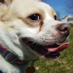 Kevin_buggy - @kevin_buggy3 - Instagram