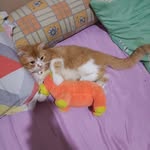 Kevin Bun - @pinnnxz_b - Instagram