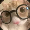 kevin - @kevin_buns - TikTok