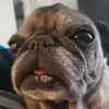 kevinburge388 - @kevinburge388 - TikTok