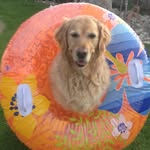 @kevin_burgin - Instagram