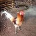 Kevin Buser - Facebook