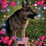 Kevin Buskirk - @kbuskirk1 - Instagram