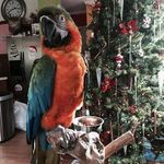 Kevin Buskirk - @kbuskirk74 - Instagram