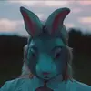 kevinandhiscamera - @kevinandhiscamera - TikTok