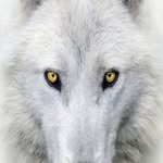 Kevin Camps - @kevin.camps.507 - Instagram