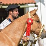 Kevin Carpenter - @kevincarpenterc - Instagram