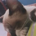 Kevin Casanova - @andrei_12_pov - Instagram