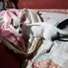 Kevin casanova - @kevin.casanova11 - TikTok