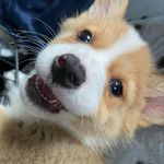 Kevin Case - @kevycase - Instagram