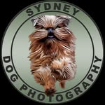 Kevin Case - @sydneydogphotography - Instagram