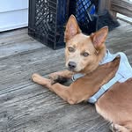 Kevin Chaisson - @kchaisson55 - Instagram