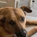 Kevin Chaisson - Facebook