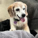 Kevin Chapple - @kchap1971 - Instagram