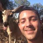 Kevin Chubb - @kchubb99 - Instagram