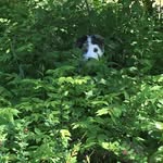 Kevin Chute - @kevin4572 - Instagram