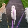 Kevin Cislak - @kevin.cislak - TikTok