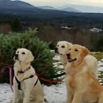 Kevin Cislak - @kevincislak - Instagram