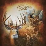 Kevin Clouser - @23kclouser - Instagram