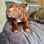 Kevin Clouser - @kevin.clouser.16 - Instagram
