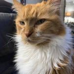 Kevin Coderre - @kevincoderre - Instagram