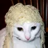 kevincongo150 - @kevincongo150 - TikTok