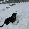 KevinC - @kevinconnery - TikTok