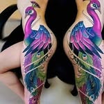 Cookson Kevin - @cooksonkevin - Instagram