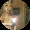 kevincorman567 - @kevincorman567 - TikTok