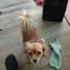 kevincornett55 - @kevin.cornett2 - TikTok