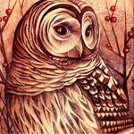 Kevin Craddock - @kevin.r.craddock - Instagram