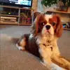 kevincragg0 - @kevincragg0 - TikTok
