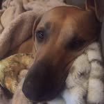 Kevin Cramsie - @rush9166 - Instagram