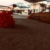 Kevincrank - @kevingonzales6048 - TikTok