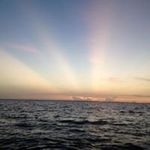 Kevin Creeley - @creeleykevin - Instagram