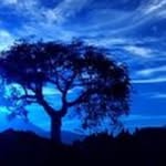 Kevin Cress - @kevincress55 - Instagram