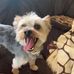 Kevin Cromer - Facebook