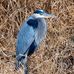 Kevin Cronk - Facebook