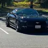 kevincronk465 - @kevincronk465 - TikTok