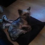 Laurencropper - @kevincropper71 - Instagram