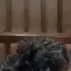 Kevin Ceccucci - @kevin.ceccucci - TikTok