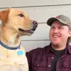 The Uber Dog - @the_uber_dog - TikTok