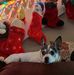 Kevin Dabbs - Facebook