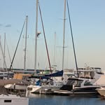 Kevin Dalby - @sailing_domino_ - Instagram