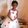 Dame Kevin - @dame.kevin2 - TikTok