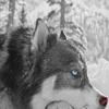 Kevin_Dane - @kevin_danee - TikTok