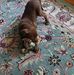 Kevin Danforth - Facebook