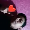 KevinDarwin2 - @kevindarwin24 - TikTok